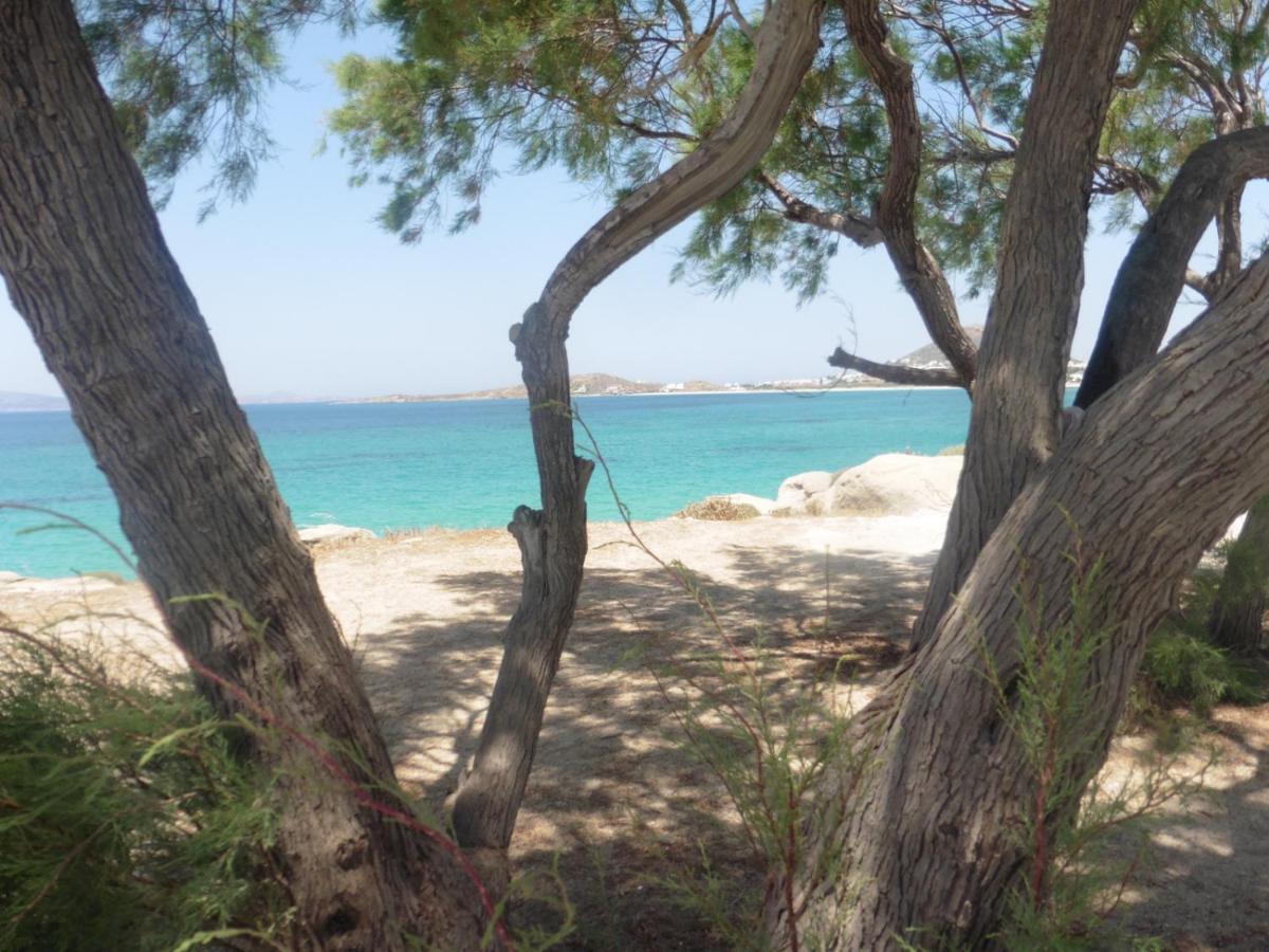 Villa Stou Chiou Agia Anna  المظهر الخارجي الصورة